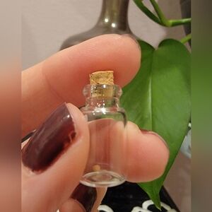 Mustard Seed Mini Glass Vial with Cork